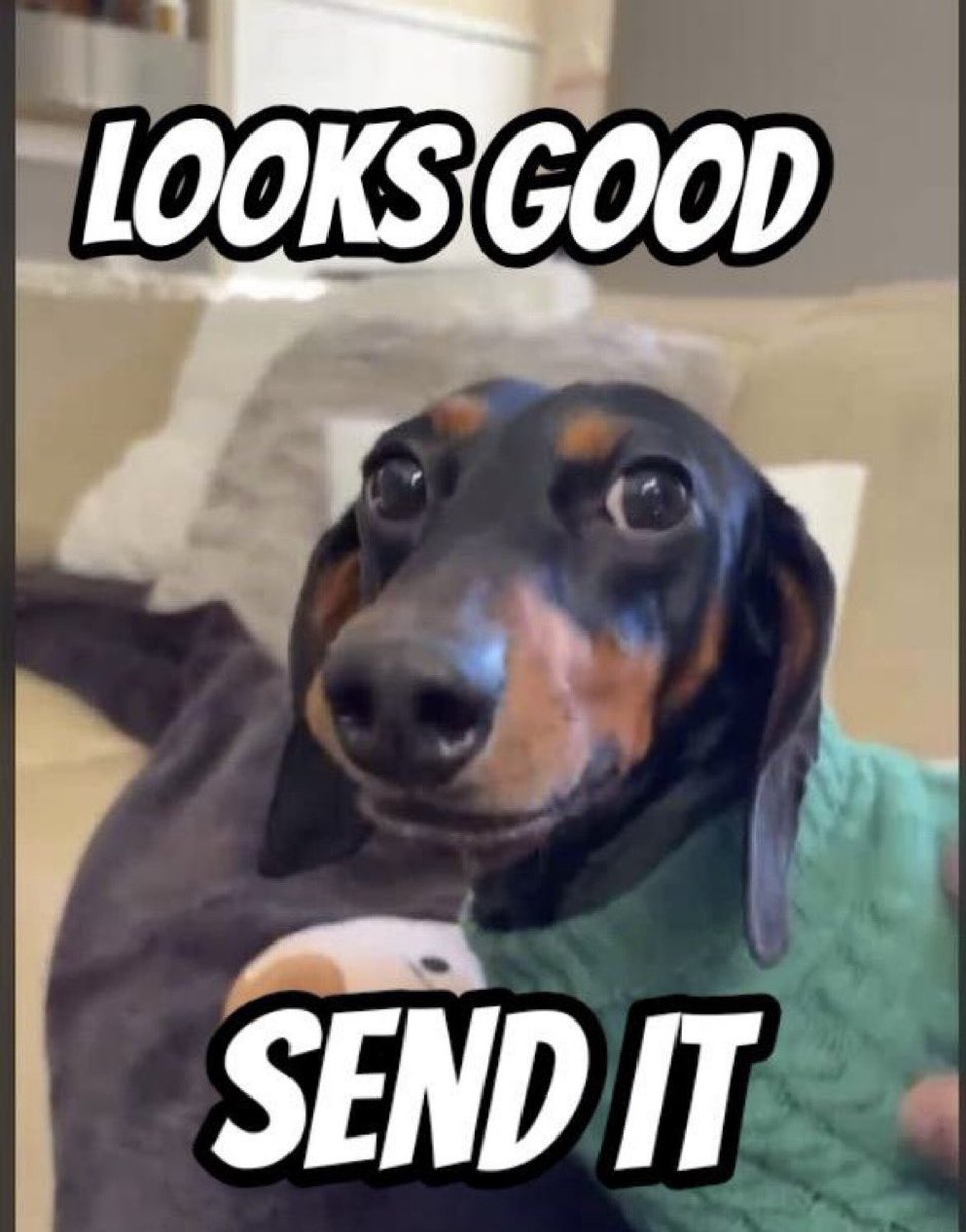 Send it $SYNDOG
