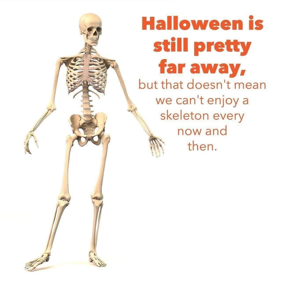 TheGhostHost's tweet photo. 💀 https://t.co/nZD6xlHOsq