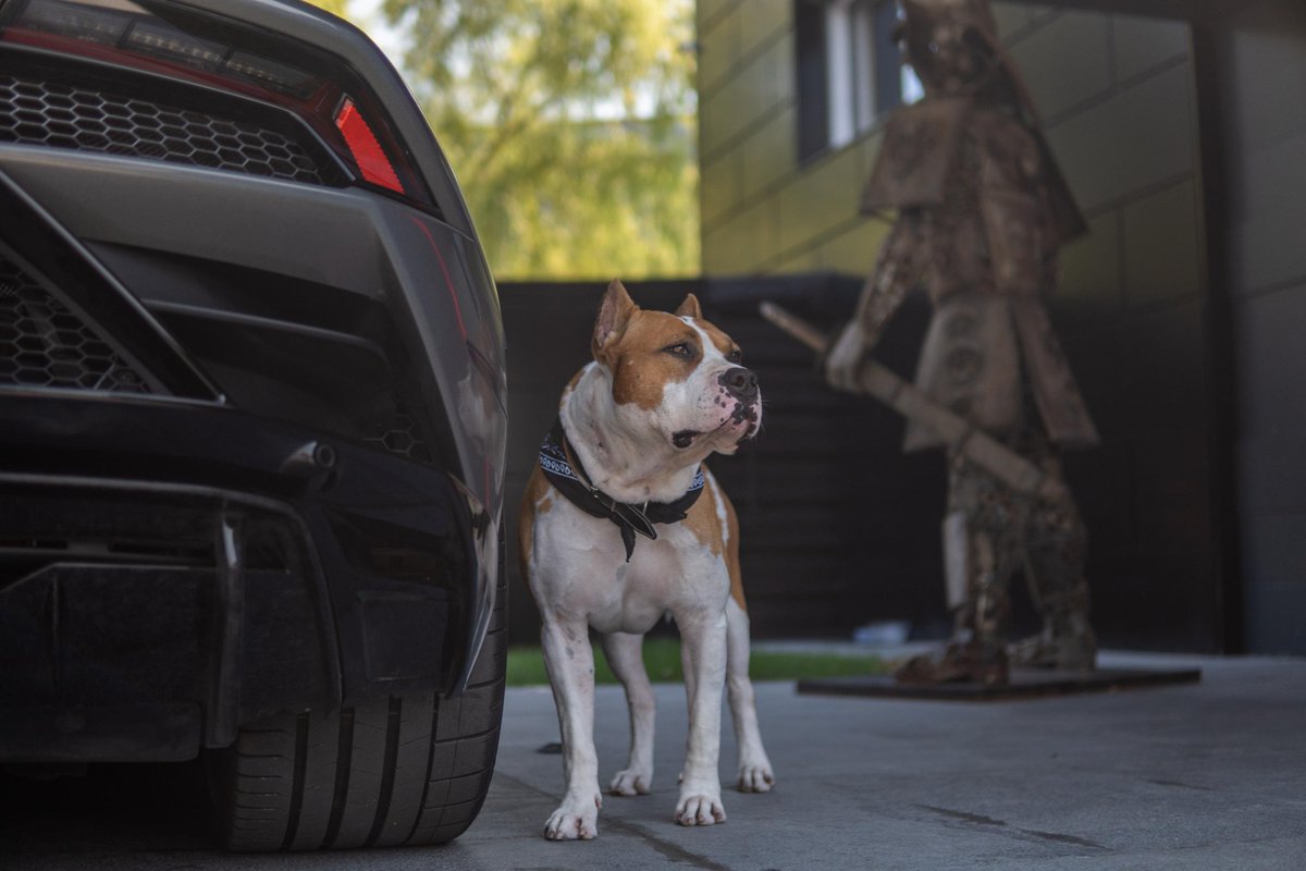 Best dog with best name is G.