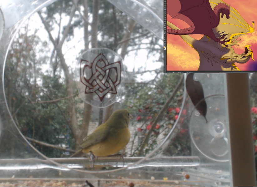 Kellaborn's tweet photo. https://t.co/yc8pvxos8a Livestreaming art as well as my action-packed birdfeeder. https://t.co/MF2qCHDZnS