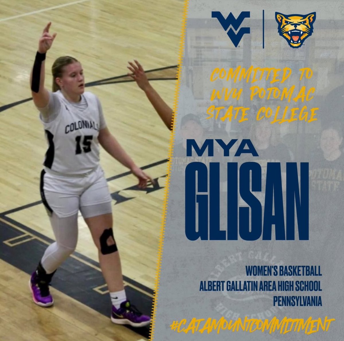 PSCCatamounts's tweet photo. We are excited to announce that Mya Glisan has committed to joining the WVU Potomac State Women's Basketball team in the 2025-2026 academic year. Congrats on becoming a Catamount!
#NJCAA #catamountcommitment https://t.co/qcVSKdftgB