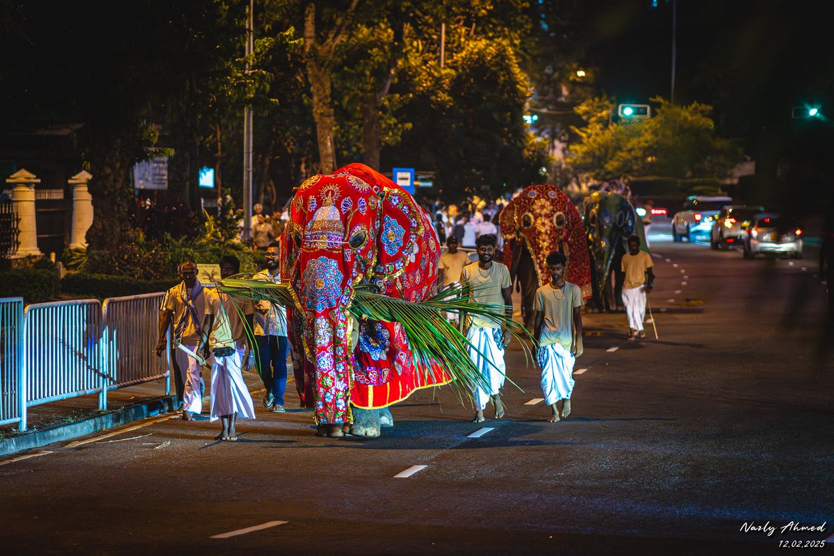 nazly's tweet image. Before the drums roll and the tuskers march, the unseen moments of the Nawam Perahera unfold in the shadows. 🔥🐘

📍 Gangaramaya Temple, Colombo. #lka 🇱🇰