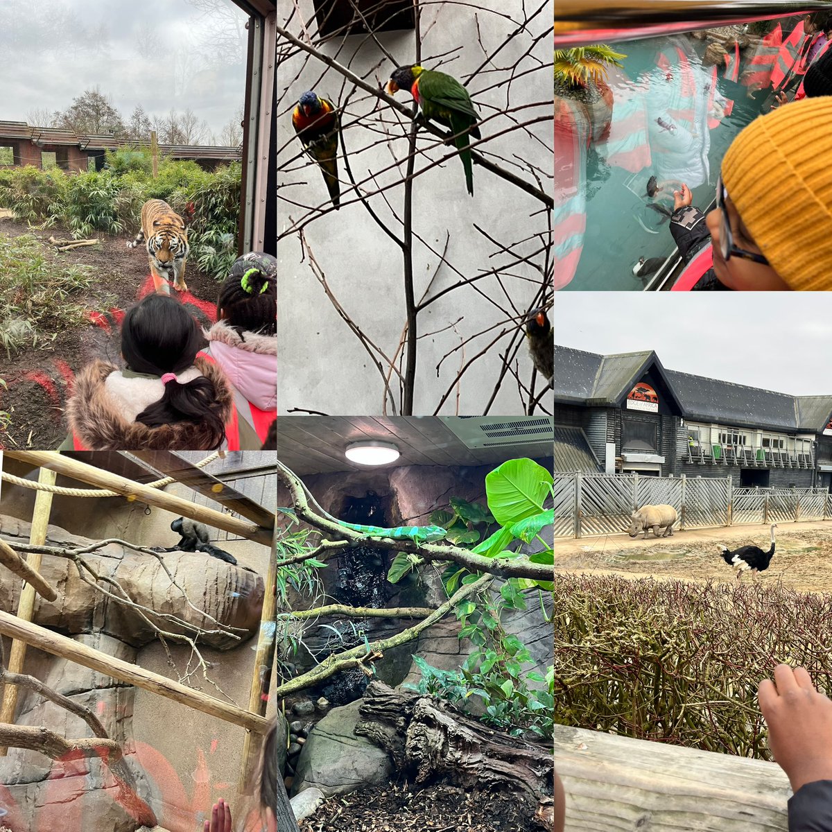 Lakshmi H Nair tweet media