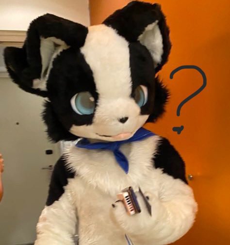 #FursuitFriday

出毛好累啊怎么会有人喜欢出毛啊