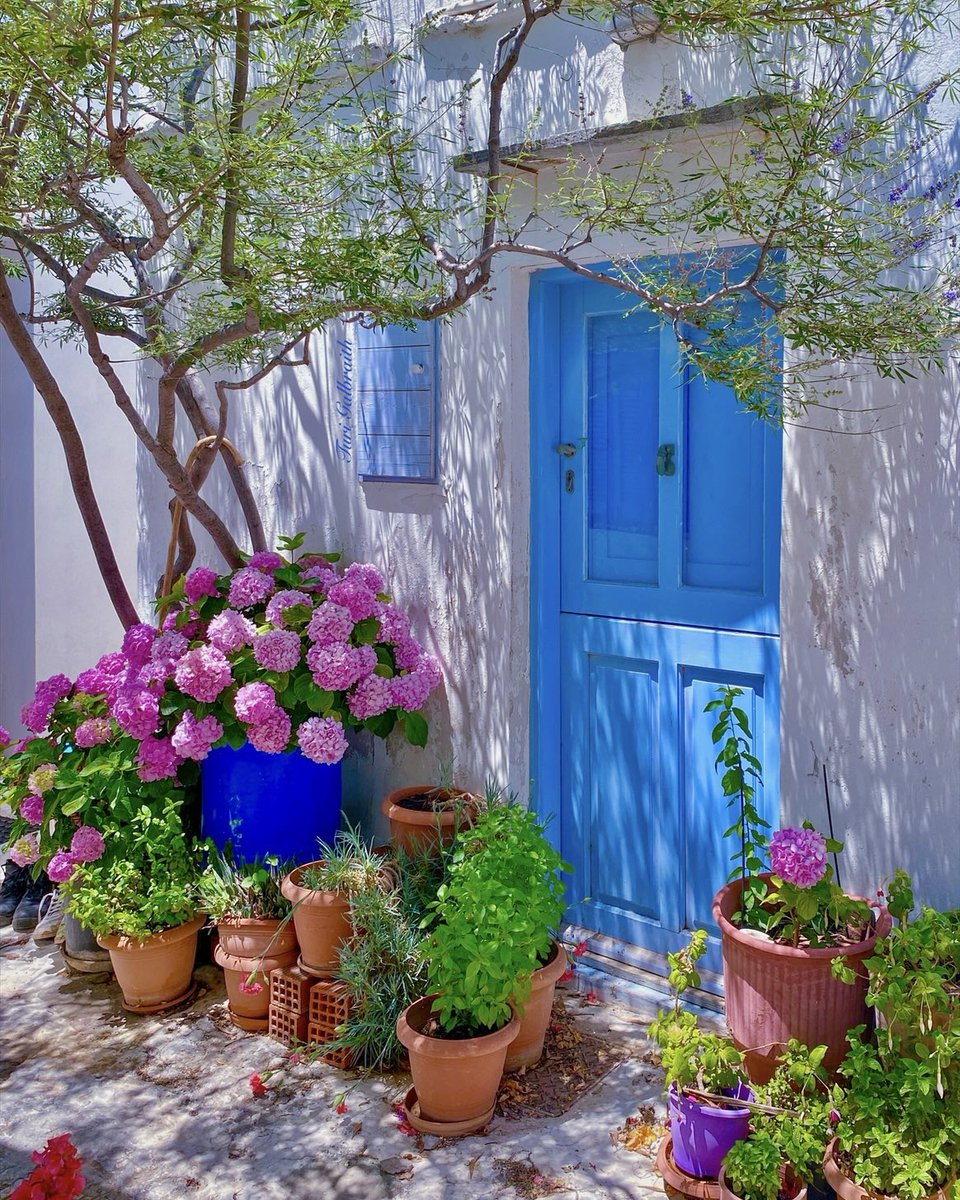 Turi Galbraith tweet media