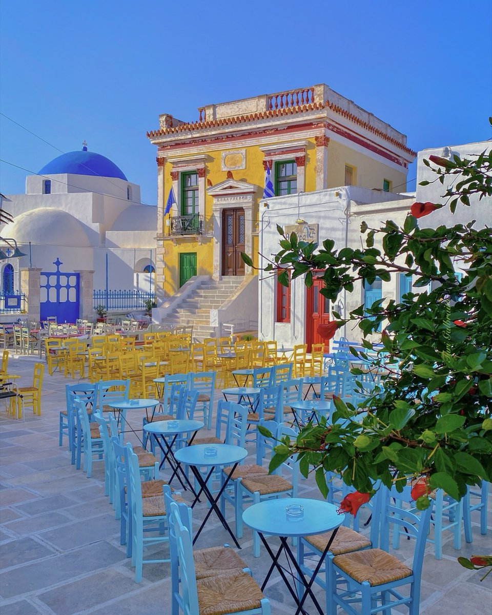 Turi Galbraith tweet media