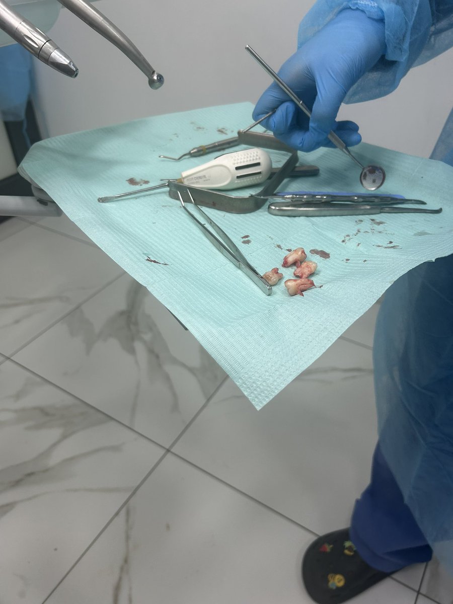 Red_ruby9's tweet image. Les 4 Putin de dent les 4