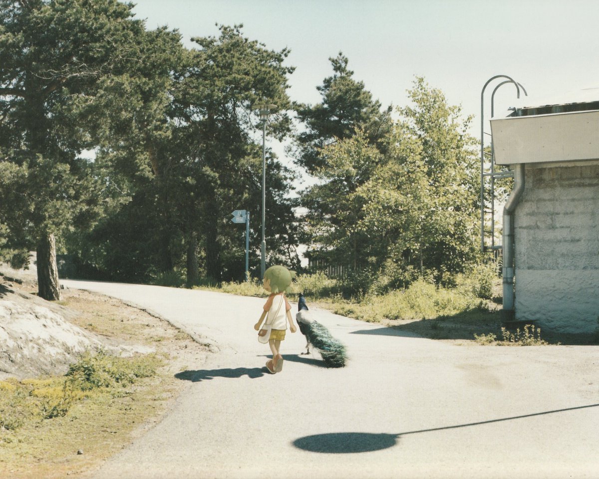 Раjке tweet media