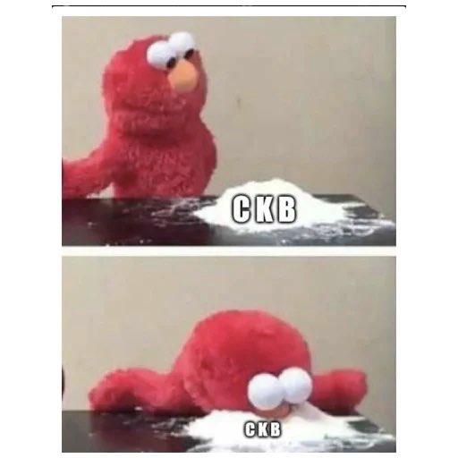 Aurora Scarlet tweet media