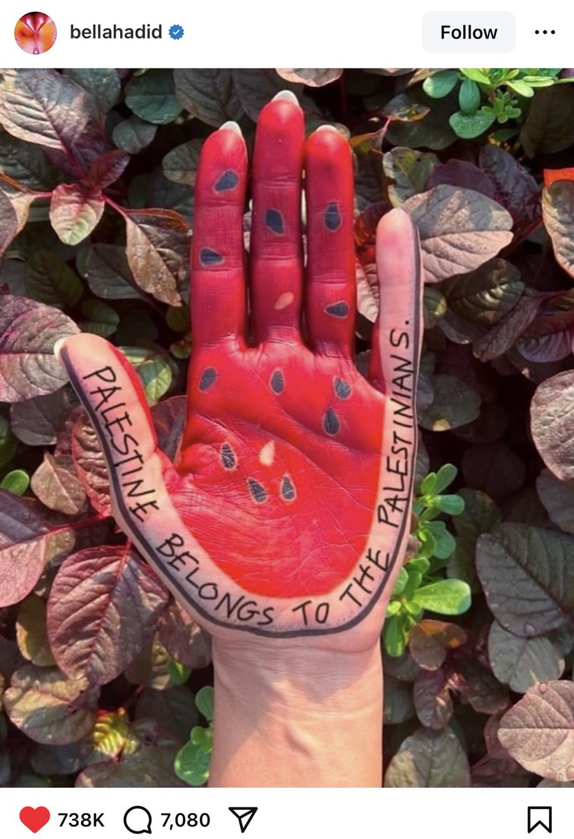 PALESTINE BELONGS TO THE PALESTINIANS.
That's what Bella Hadid wrote ❤️🇵🇸