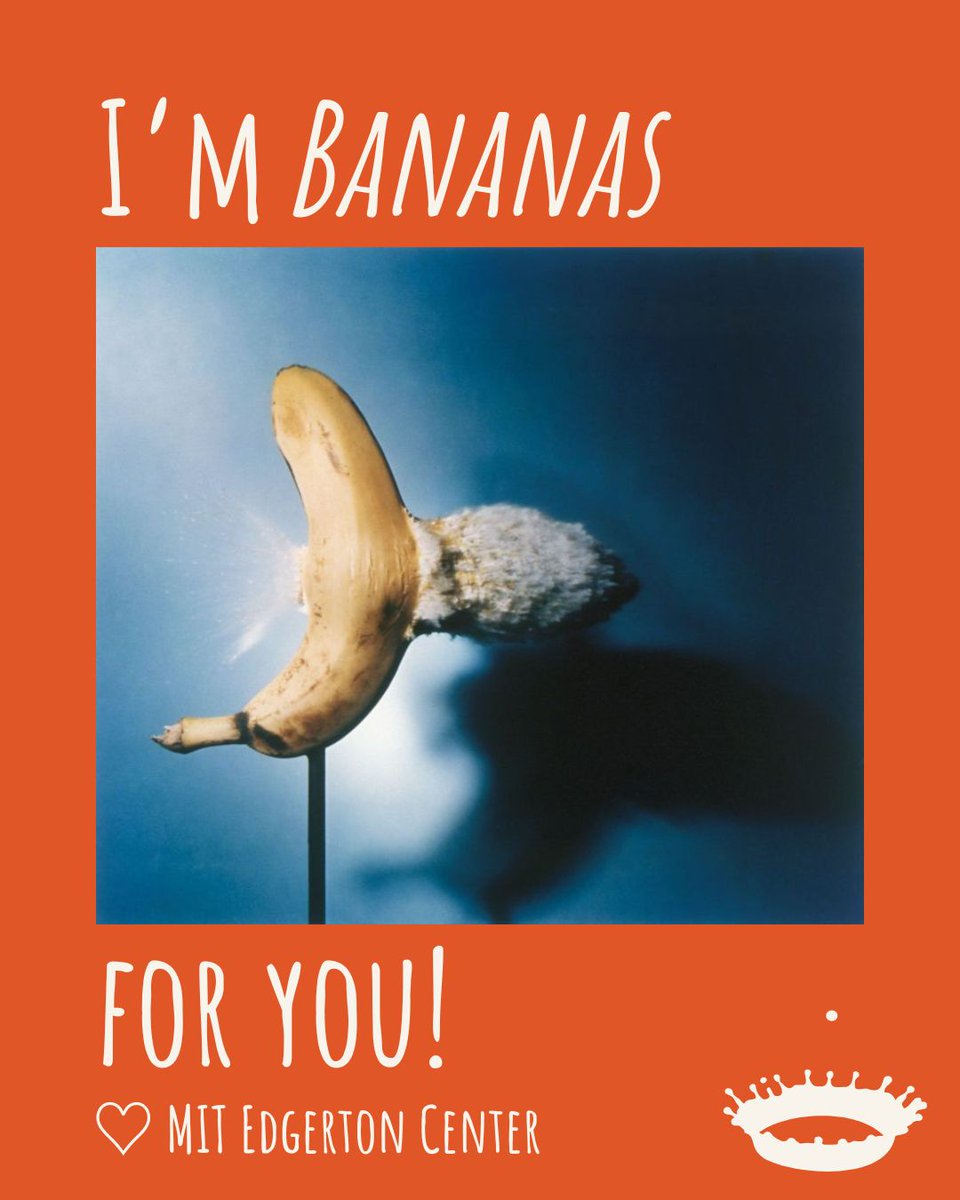 Edgerton Center is proud to be a space where meaningful connections happen through creativity, collaboration, and collegiality. To all our friends across the MIT community: Happy Valentine's Day!
images: @k12makermit MAKE; @mitcrc bot; Self-Portrait, Bullet &amp; Banana - Edgerton