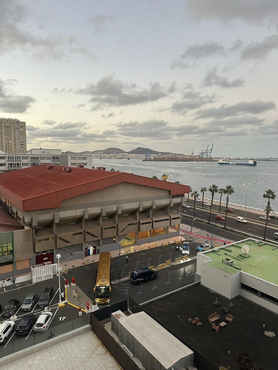 Edy Tavares tweet media