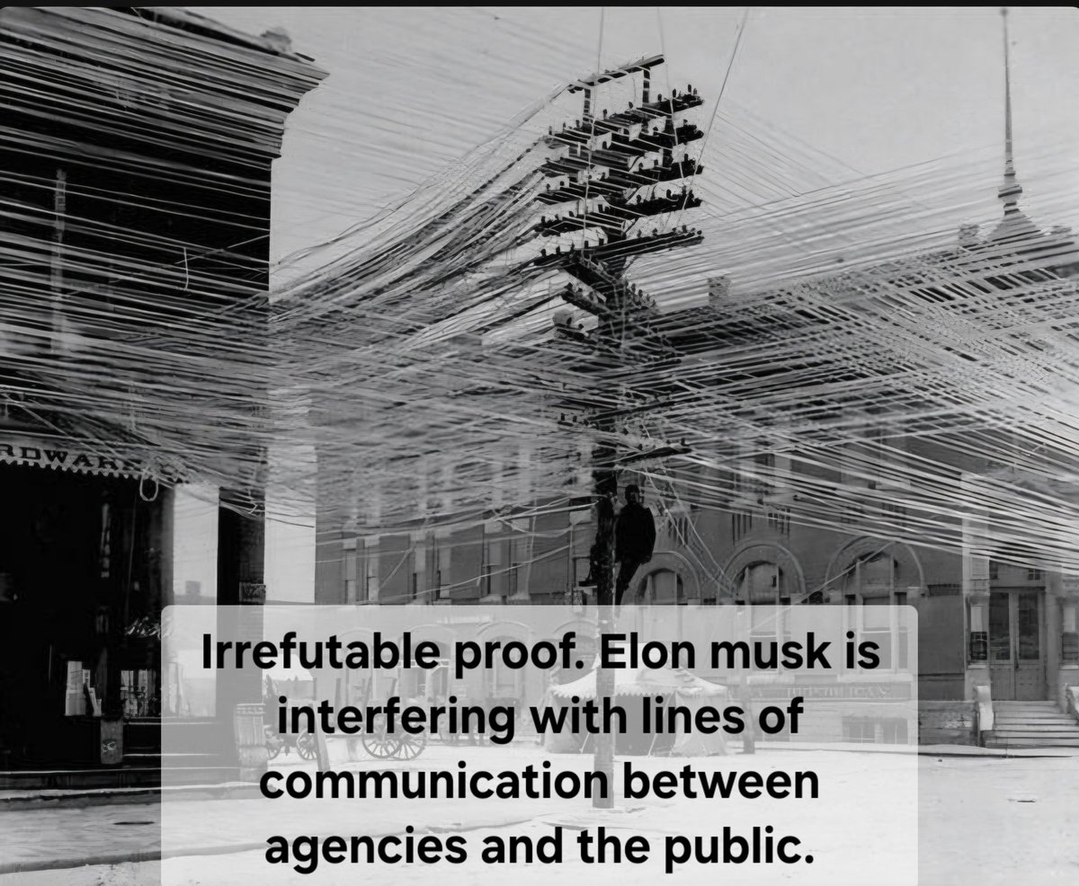 Michigan (@localmeattweet) on Twitter photo 