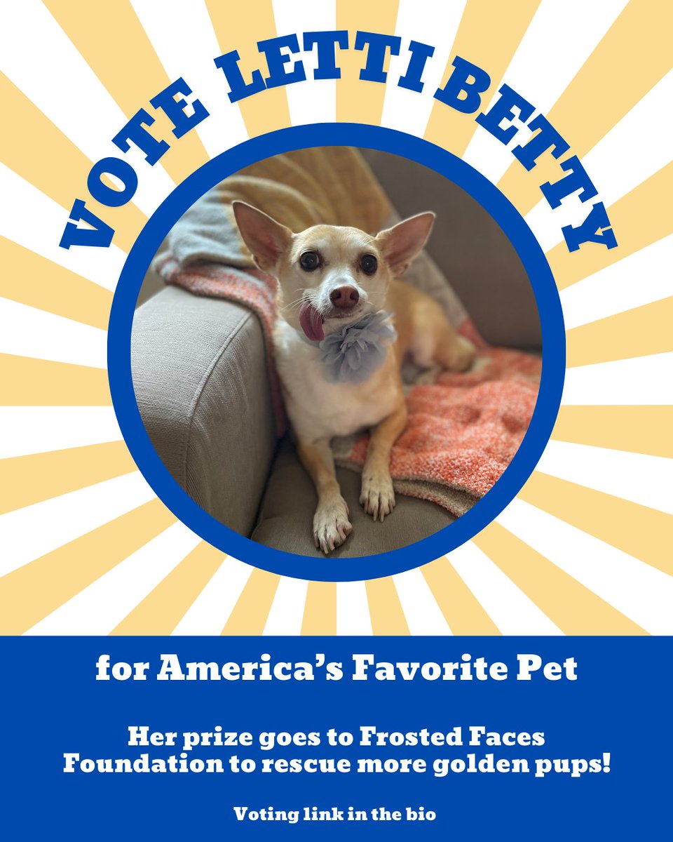 AngelWithPaws's tweet photo. FINAL HOURS TO VOTE!
Today is the LAST DAY to vote for Letti Betty! We’re so close to the next round, and winning means prize money for Frosted Faces to help more senior pups! Vote now &amp; share! #AdoptDontShop 
https://t.co/T9qnlB5UjL https://t.co/ehglYLCwgM