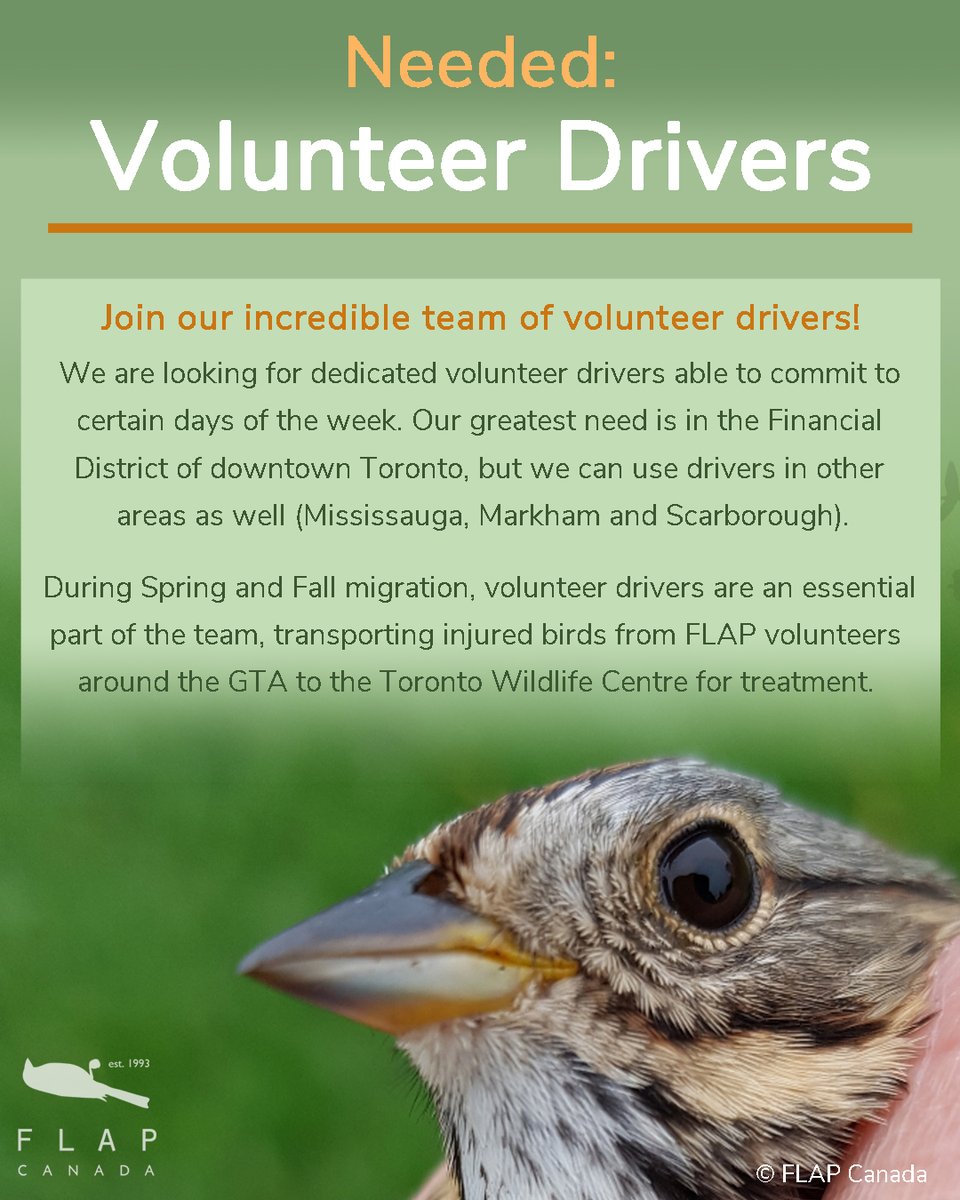 We need volunteer drivers!

As early as the end of March, we will start finding injured birds at the base of buildings.

Find the Volunteer application form here: survey123.arcgis.com/share/705b8658…

If you have any questions you can reach out directly to volunteer@flap.org.