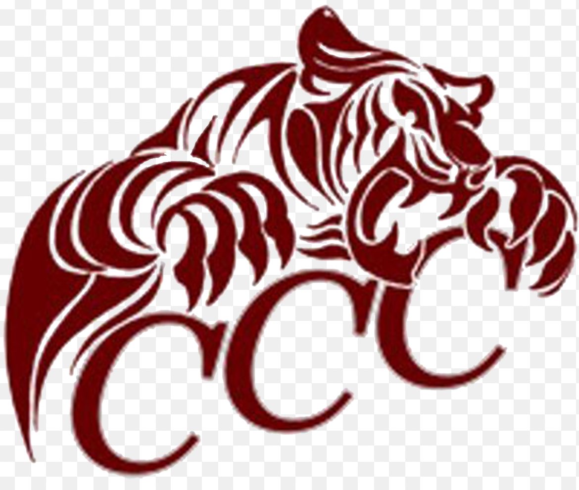 Tbreezyyy1k's tweet photo. Blessed to receive an offer from Coahoma Community College 🙌🏽
@DemetricDWarren @oc7888 https://t.co/WxBg9Ff2G3
