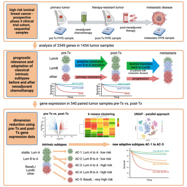 Cancer Cell (@cancer_cell) on Twitter photo Dynamics of molecular heterogeneity in high-risk luminal breast cancer—From intrinsic to adaptive subtyping dlvr.it/THydB6 Dynamics of molecular heterogeneity in high-risk luminal breast cancer—From intrinsic to adaptive subtyping dlvr.it/THydB6