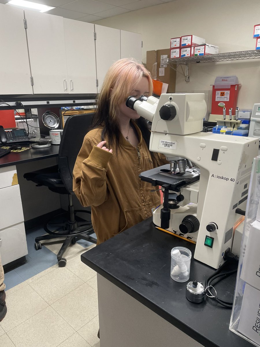 Spartans, Dragons, &amp; Raiders got to visit the Medical Center today for a career shadowing opportunity!During our visit students had the opportunity to ask questions &amp; learn about a variety of career opportunities in the healthcare field!  
<a href="/SWHSReady/">SWHS Readiness Center</a> 
<a href="/WCHSReady/">WCHS Readiness Office</a> 
<a href="/wehsready/">WEHS Transition Readiness</a>