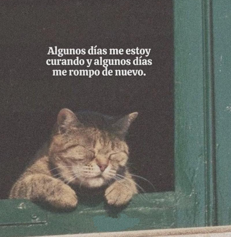 222 (@aboutustweets) on Twitter photo 