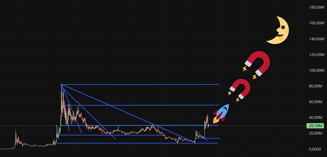 See the full picture anon. 
As always, take out your initials and profits leaving moon bags at TP points.

TP 1: 🟢
TP 2: 55M
TP 3: 80M
Moon
Send it.     

#FullSend