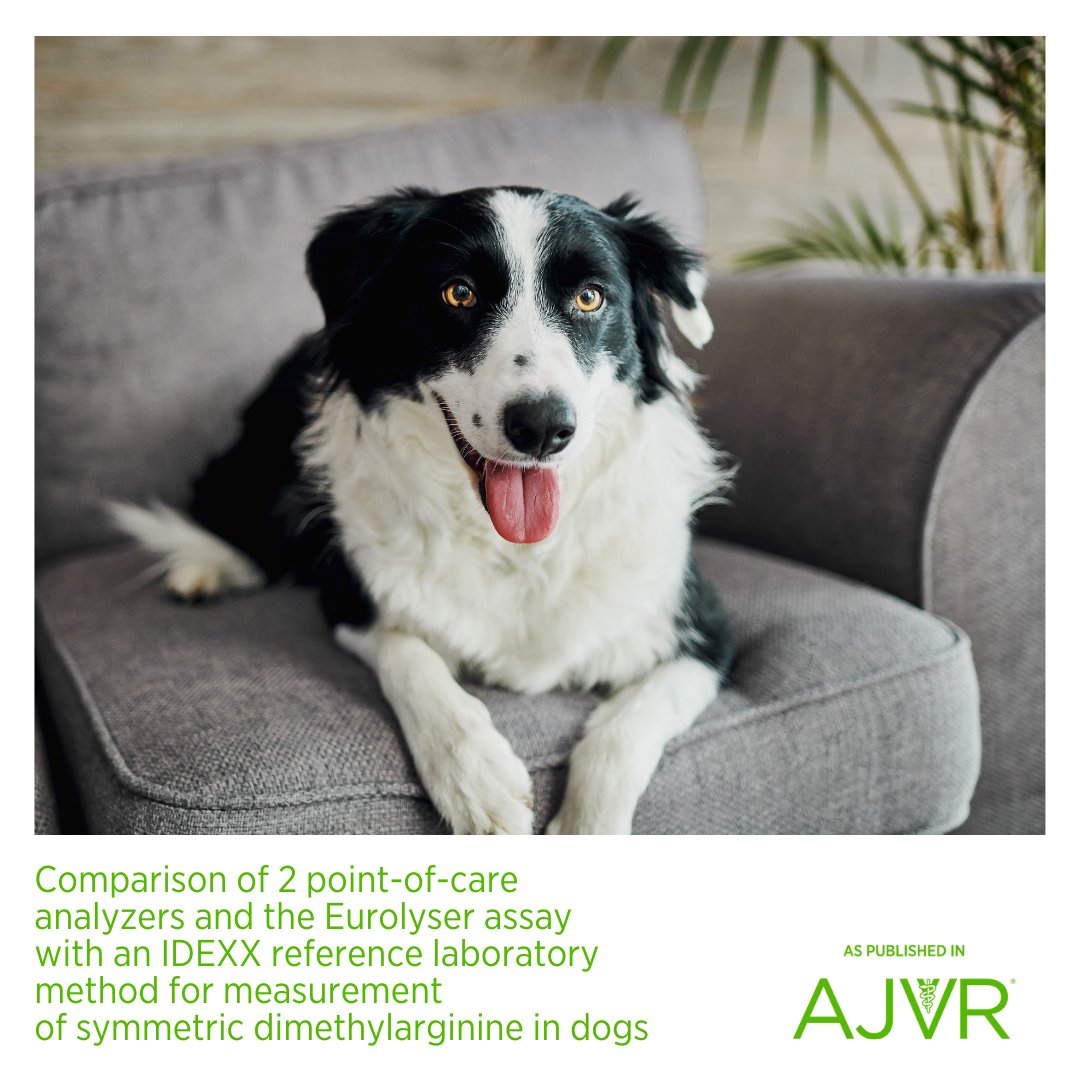 Analyzer and method-specific reference intervals should be established for SDMA analysis.
Open access article: jav.ma/SDMA @acvp #SDMA #catalyst #Vcheck #eurolyser #IDEXX