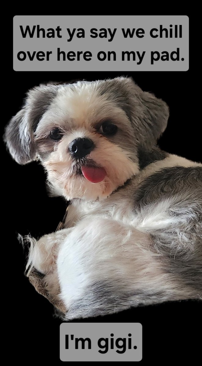 Michigan (@localmeattweet) on Twitter photo 