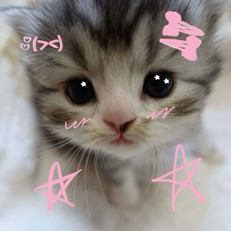vonionce's tweet photo. ⋅˚₊‧ ୨୧ ‧₊˚ ⋅  
im opia! 19yrs and infj˙⋆.˚
im Nex2y and Army <3 im looking for
who loves Nexz… 
If u want we can be moots 𓈒ㅤׂㅤ𐙚  ࣪ ⭒
and im also want nex2y friends… 
feel free to dm me ༘˚⋆
(if u want we can be penpal friends!)🎀 https://t.co/WrPLFhpeKn