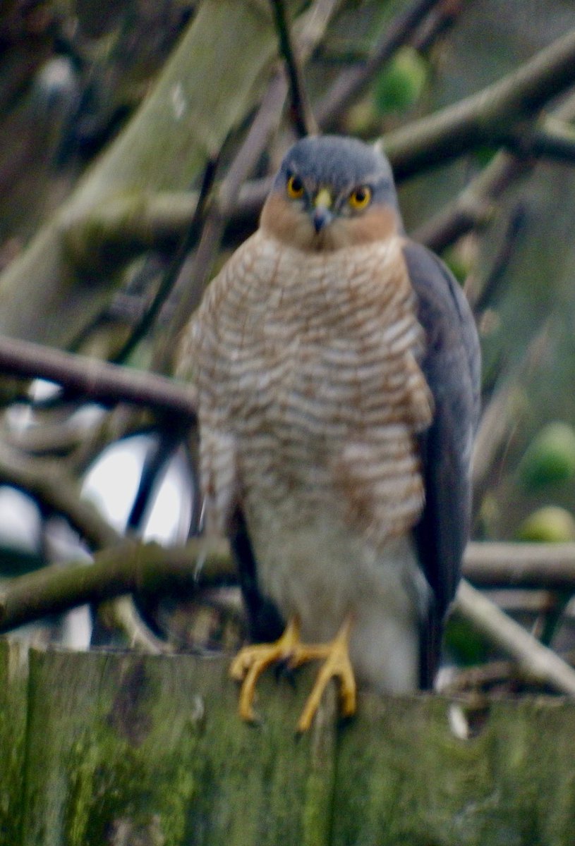 David Turner tweet media