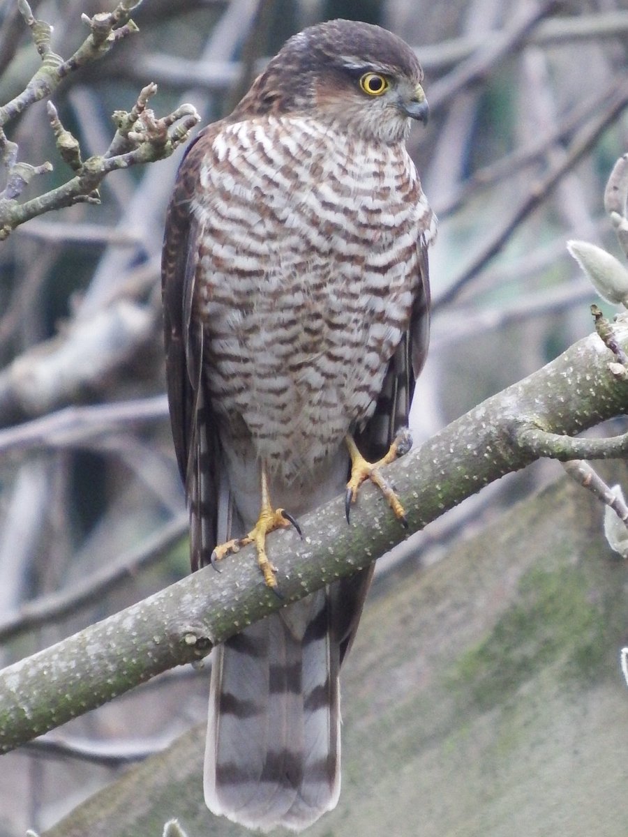 David Turner tweet media