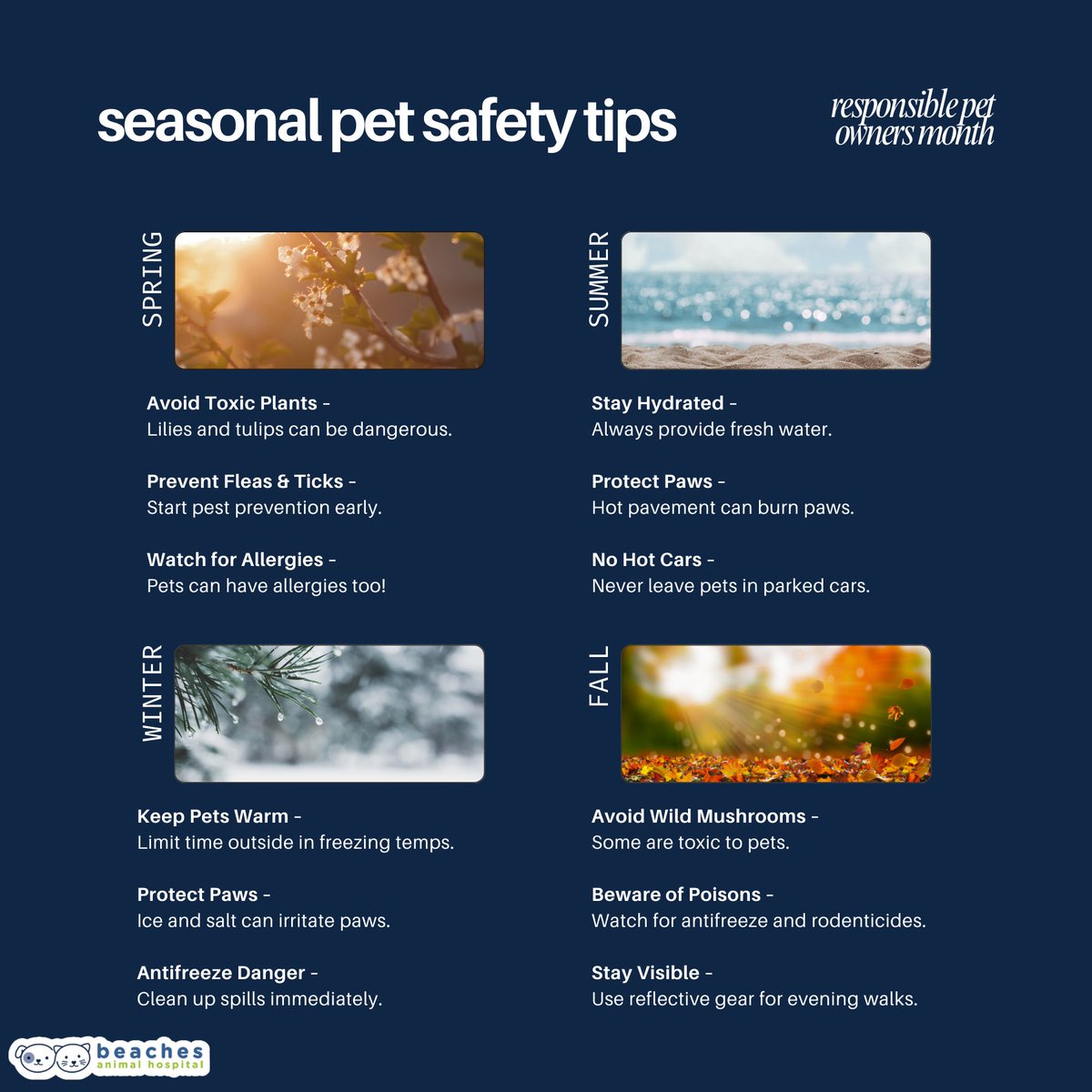 Whether it's hot pavement in summer or cold paws in winter, responsible pet care means keeping your pet safe no matter the season! ❄️☀️ #PetSafety

#love #instagood #cute #pet #petstagram #photooftheday #instamood #adorable #instapet