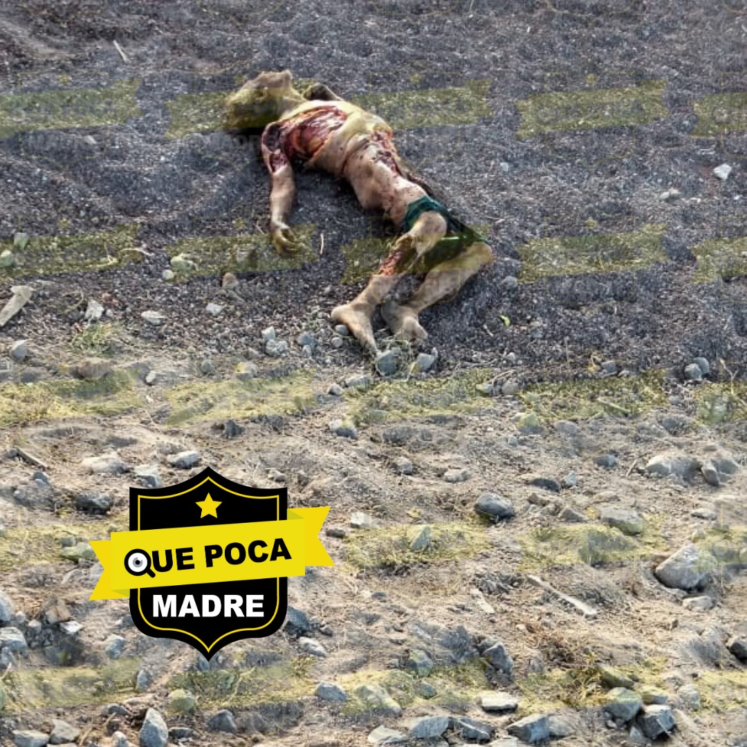 Qué Poca Madre tweet media