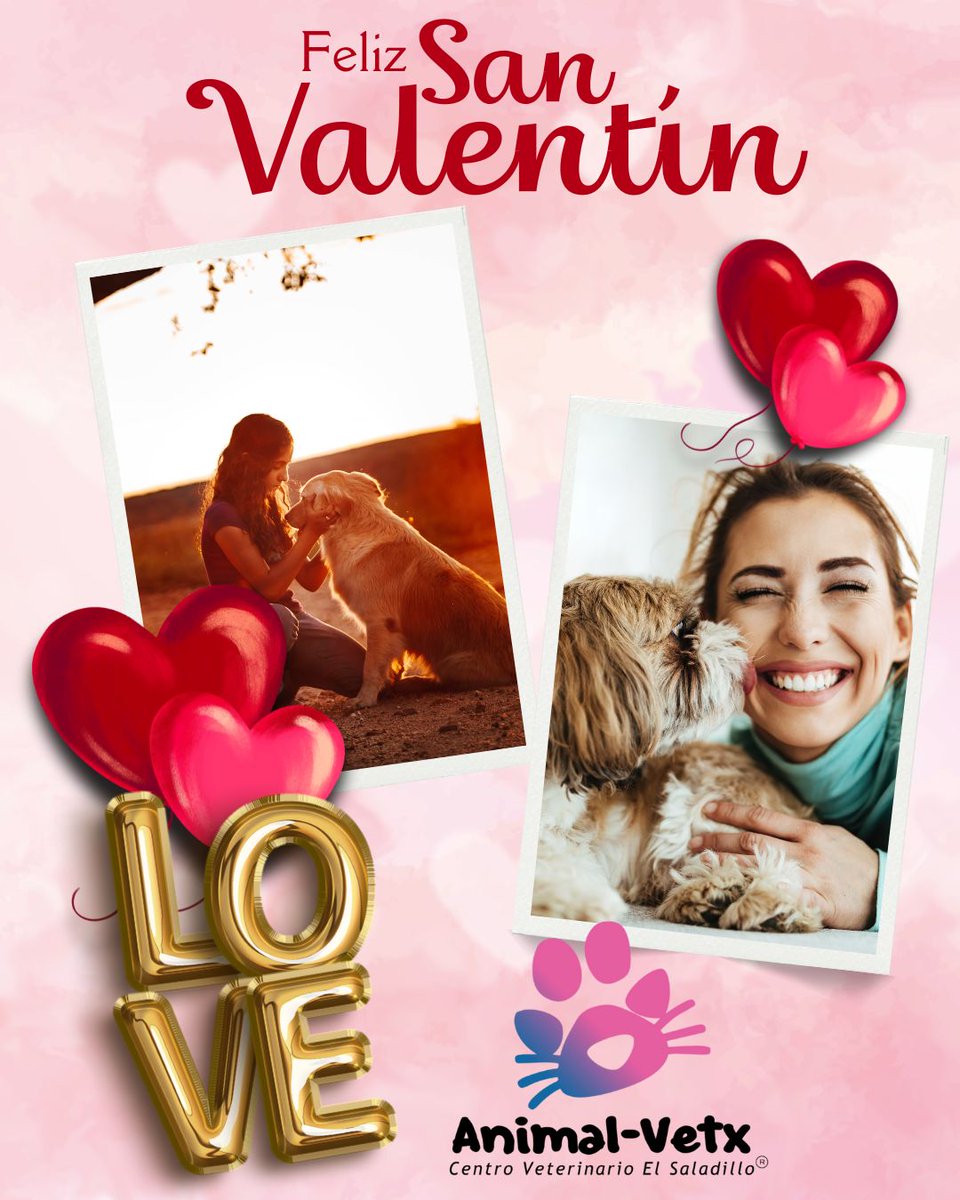 animalvetx's tweet image. ¡Feliz #SanValentín a nuestros peludos! 🐾❤️ Nada como su amor incondicional. Comparte una foto o historia de tu mascota. Queremos conocer a esos seres especiales. ¡Celebremos juntos! 🌟✨ #AmorPeludo #CompañerosDeVida