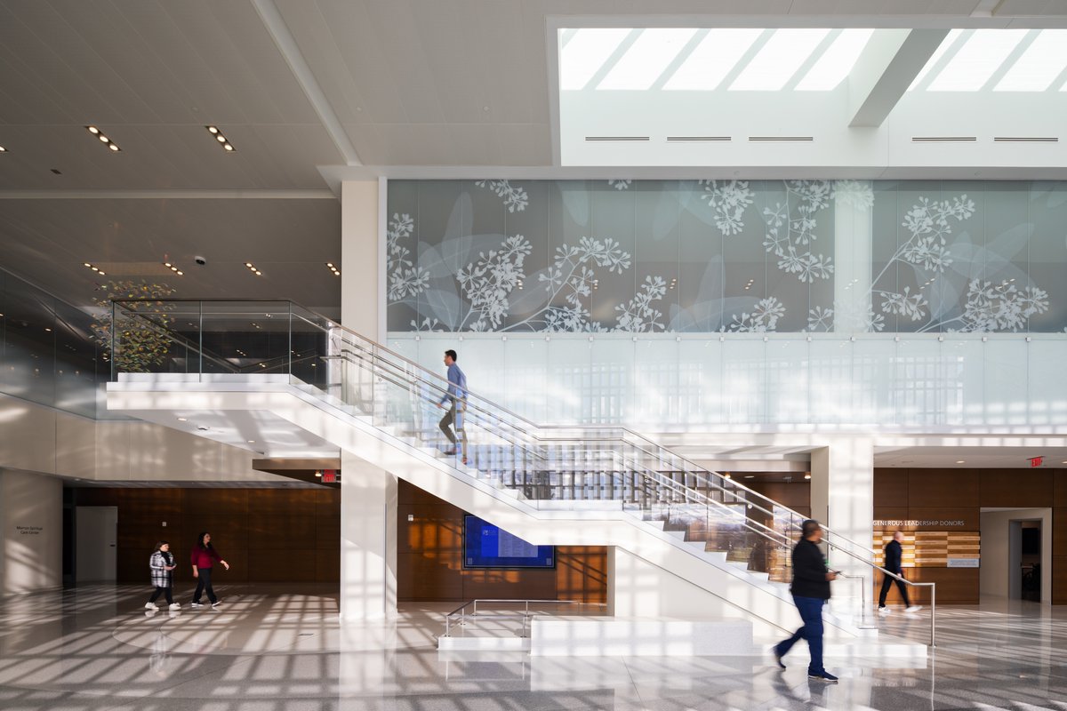 HiRISE WINDOWS tweet media