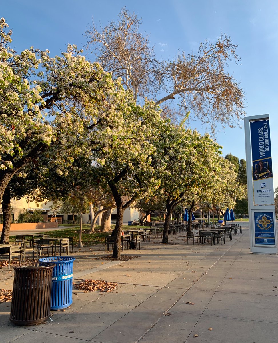 spring on the campus