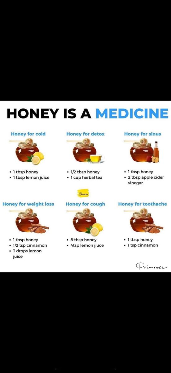 Primrose tweet media