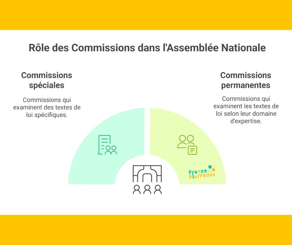frpluriailes's tweet photo. Il existe 2 types  de commissions au sein de l'Assemblée nationale, chargées de préparer la discussion en séance publique des projets ou propositions de loi.
- les commissions spéciales ,
- les commissions permanentes .
Source: https://t.co/SLCk129fUi

#FrancePluriAiles https://t.co/w0326JJm23