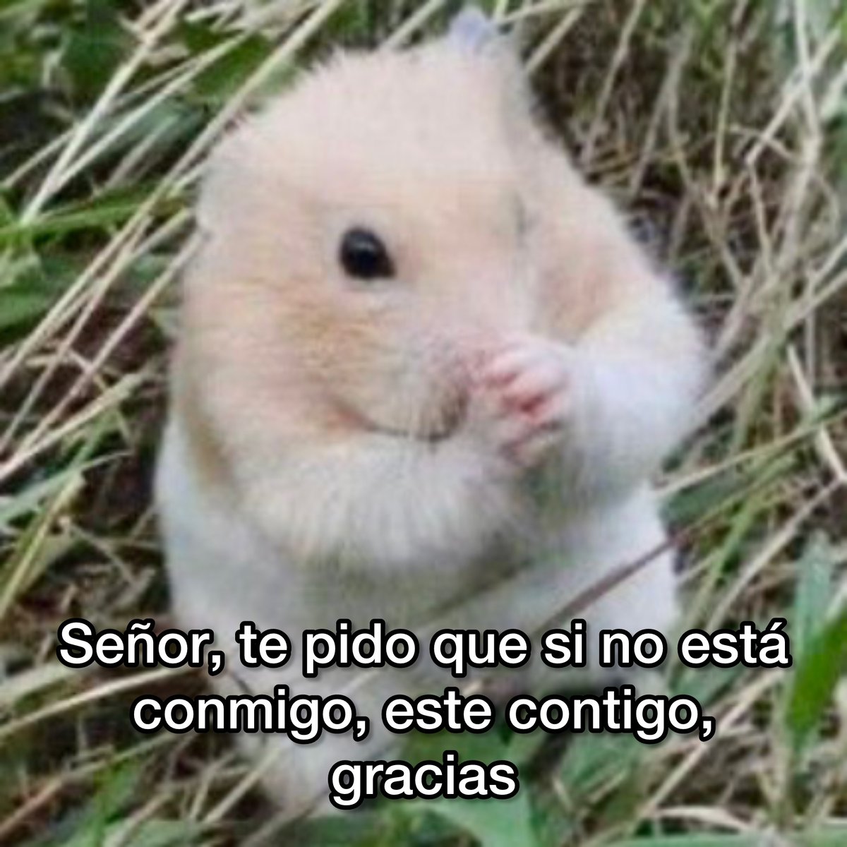 Guarromantico_'s tweet photo. Señor. https://t.co/eEcTfK6jZ0