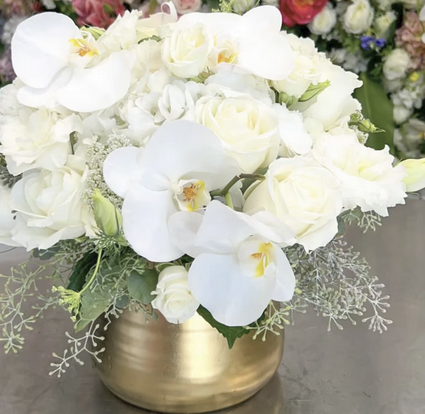 flowerslitCA's tweet photo. Pure Love https://t.co/yg6qm9Zkpg