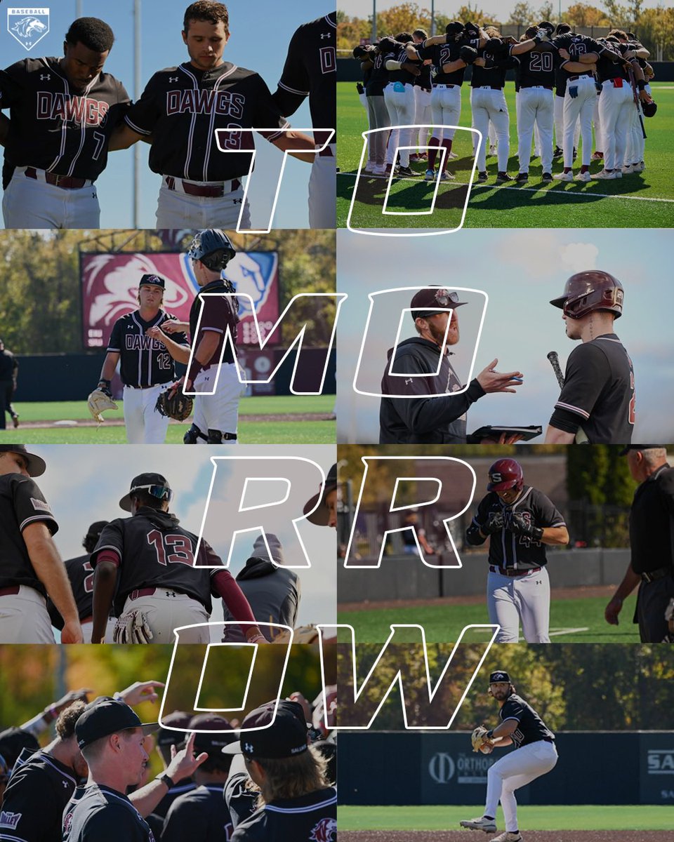 Saluki Baseball tweet media