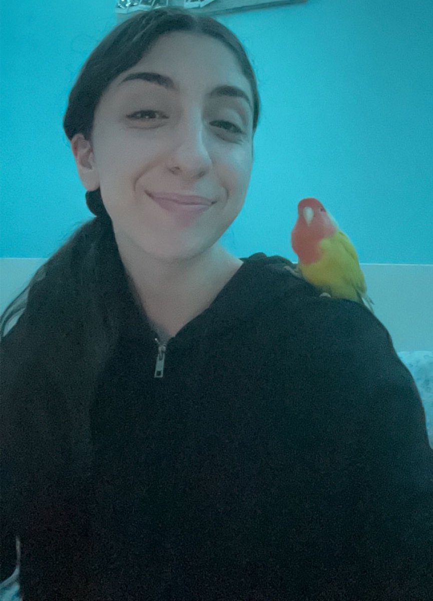 CashaSarah's tweet photo. rest in peace Lulu, love you lots 💔🕊️ https://t.co/EQt9S2FLYz