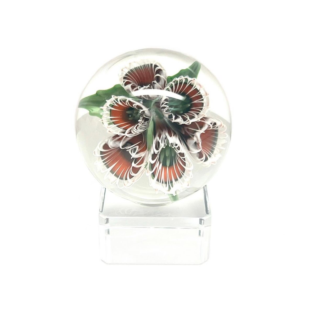 ECoastCurations's tweet photo. This marble from Kobuki Glass features a beautiful red accented bouquet , it's now available on our website at https://t.co/61HYPH6DW3

#glassforsale #glassart #thousanddollarglass #bestofglass #headyglass #eastcoastcurations #kobukiglass #kobuki #johnkobuki
#johnkobukiglass https://t.co/YJiND76Jmd