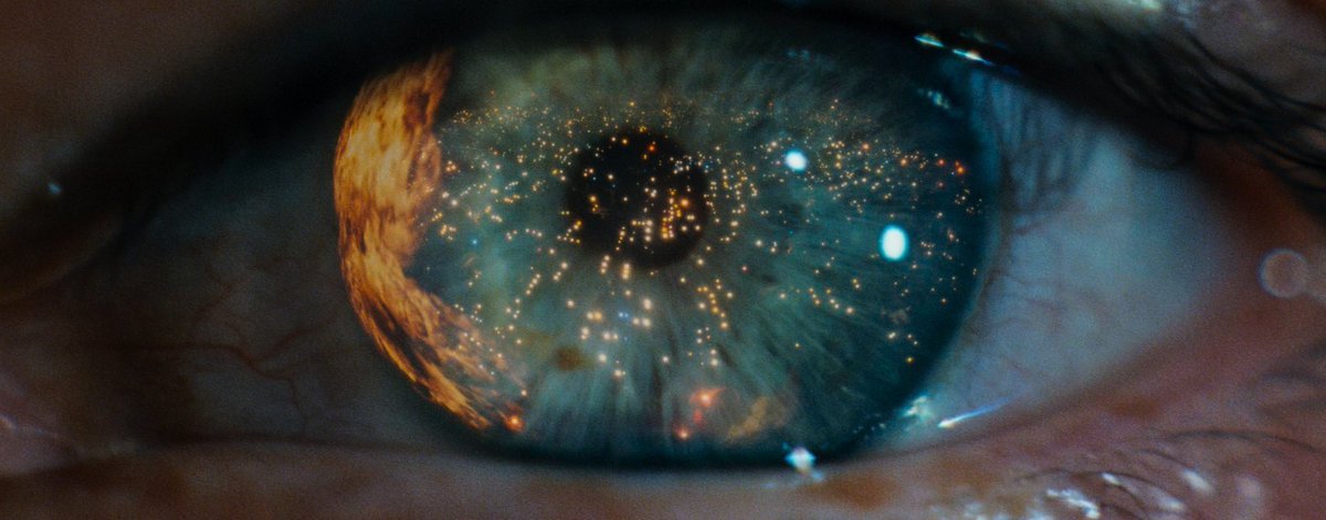 cinesthetic. tweet media