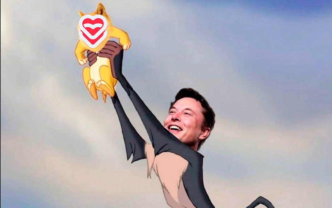 CoinmeLove's tweet image. @elonmusk Why don't you start loving us? ❤️