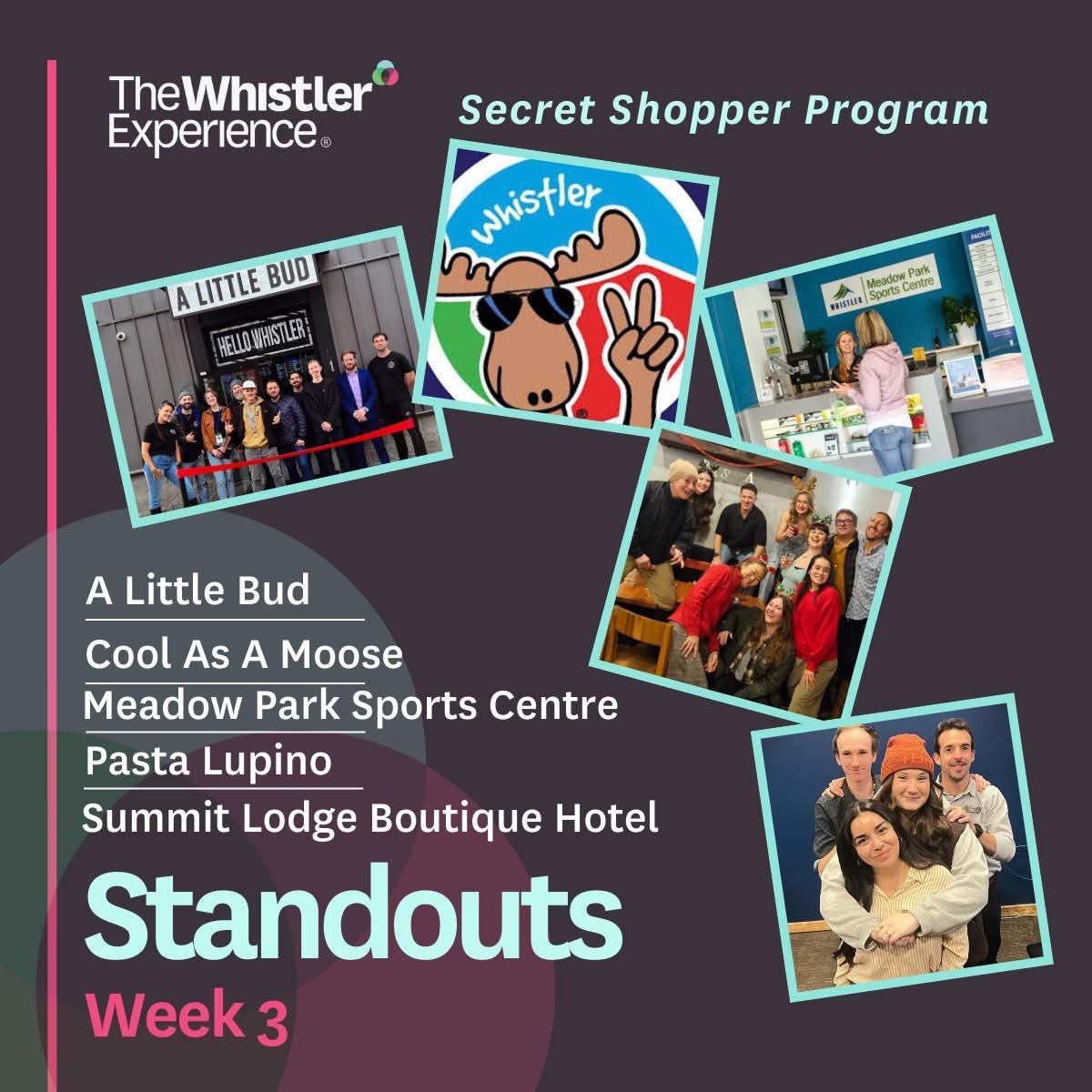 Three weeks at the top! Huge thanks to the Whistler Chamber for recognizing our team’s dedication. We’ll keep the good vibes (and great service) rolling! 🌿🔥 #ALittleBud #TopOfTheShop