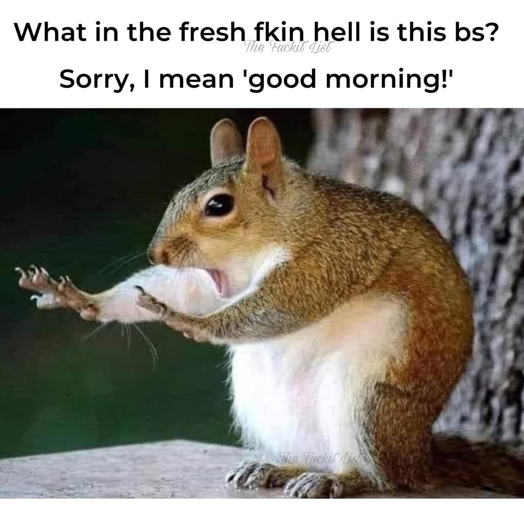 K Halcrow (I'm in disguise) tweet media