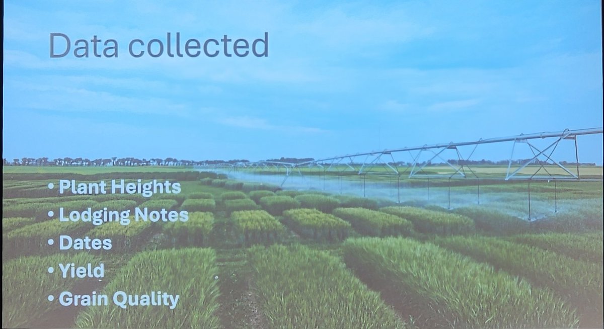 FarmingSmarter's tweet photo. After a delicious lunch and energizing group of 4-H presentations, @carloherk brought us back to research with a recap of the now completed "Mimbee" study - three years of data on three varieties of #barley, using PGRs to maximize barley yield while minimizing lodging https://t.co/HXbpZpkF6a