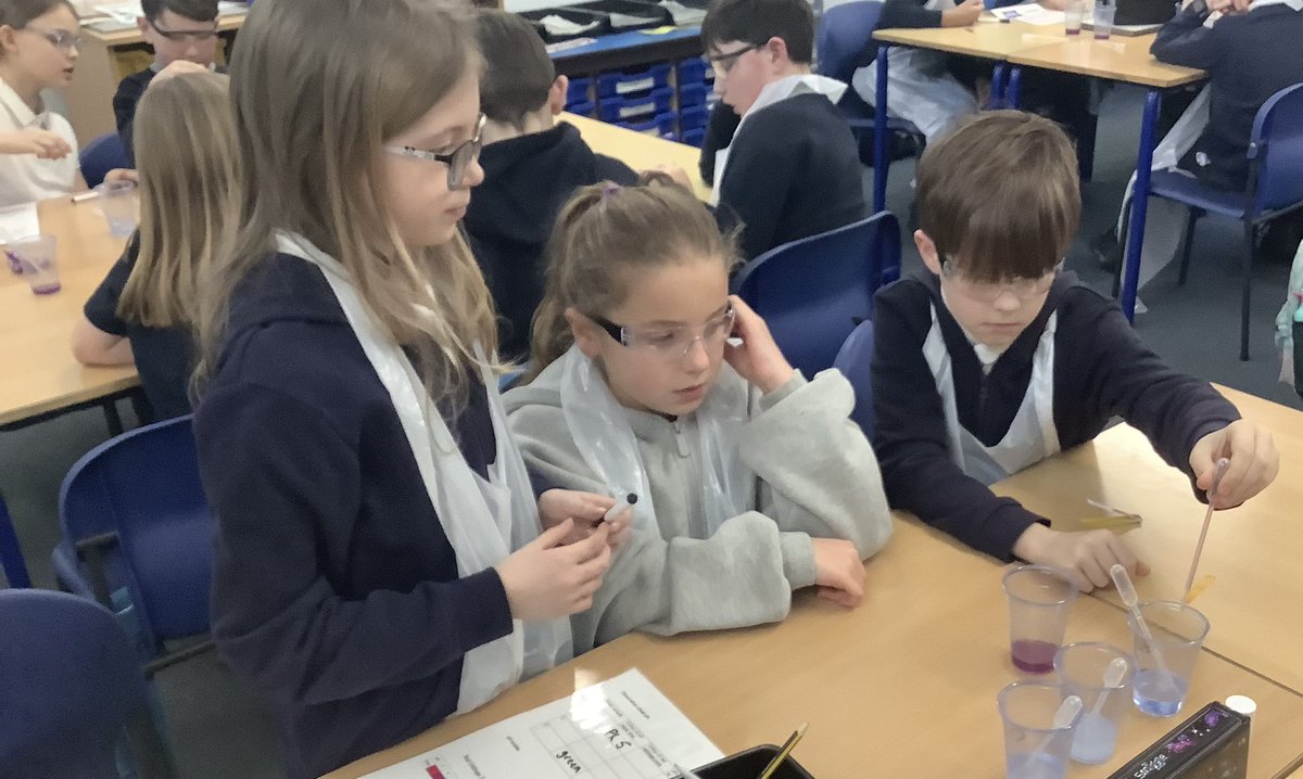 Mrs Forrest tweet media