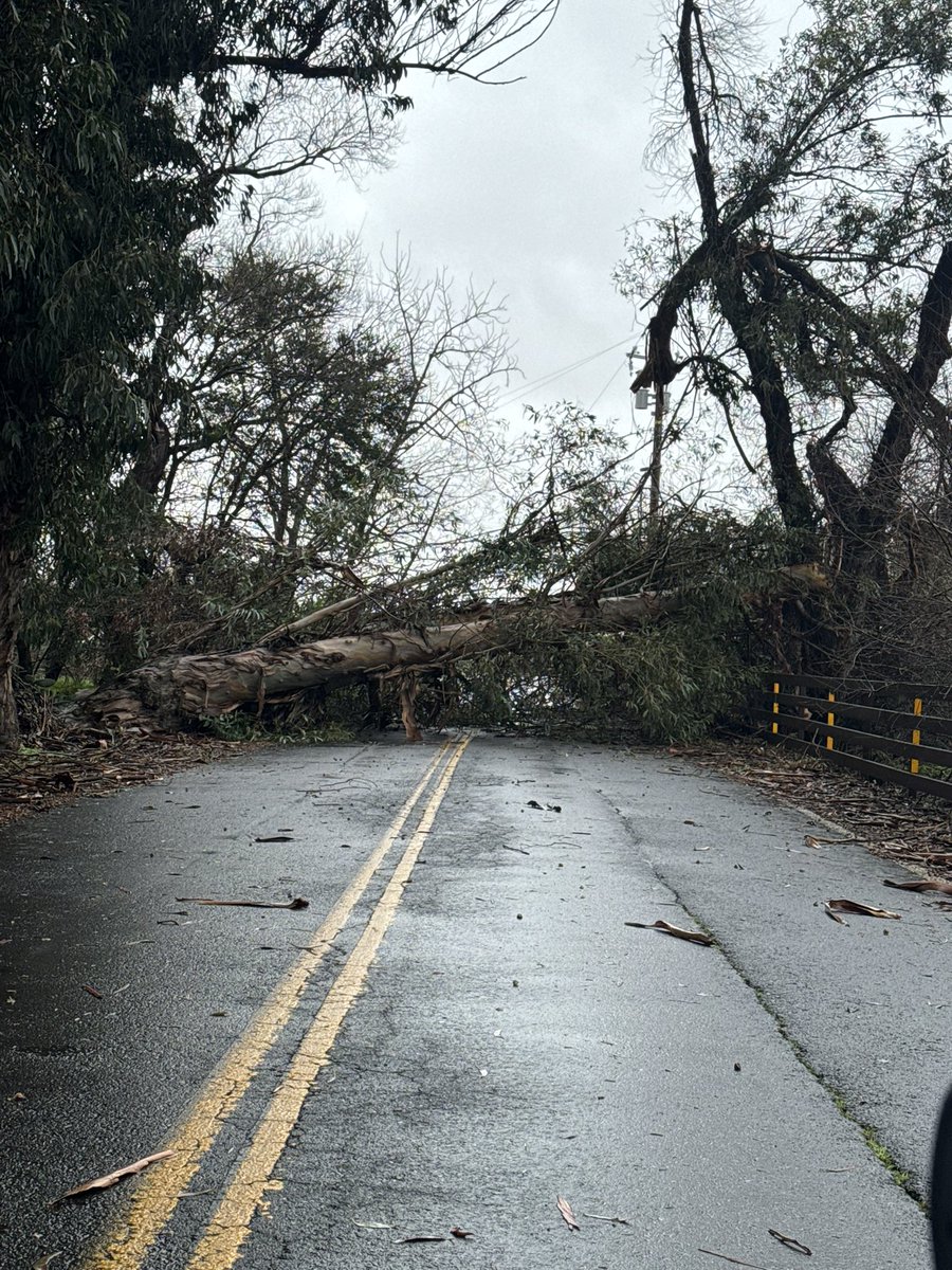 CHP_Napa's tweet image. Tree down blocking both lanes of Ramal Rd/Duhig Rd at Skaggs Island Rd. This is near the Napa/Sonoma County line. Unknown ETO. Please drive safely!
