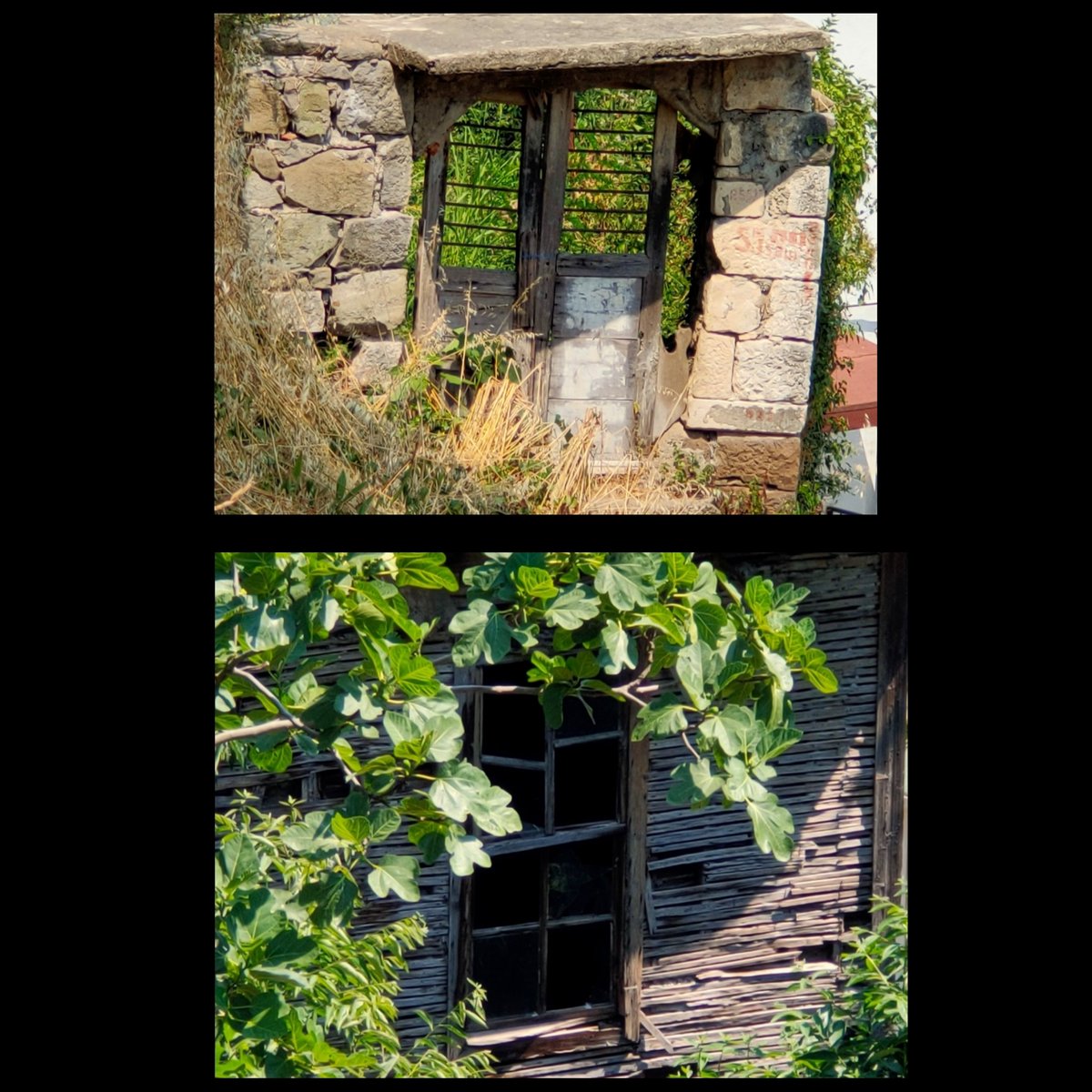 Recep Köroğlu tweet media