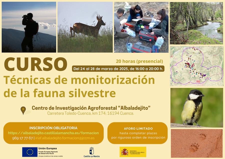 ¡Curso "Técnicas de monitorización de la #fauna silvestre”! 🦅🐸🦎🦡🐟

📅 24-28 marzo 2025
📍 Cuenca
💰 GRATUITO
📖 20h de formación presencial.

📝 Info e inscripciones 👉 cutt.ly/Ke7VqBHf
